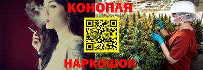 apvp Бийск