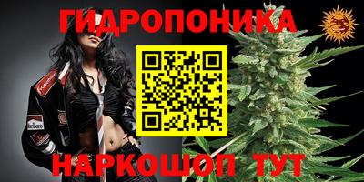 spice Беслан