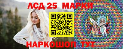 apvp Бийск