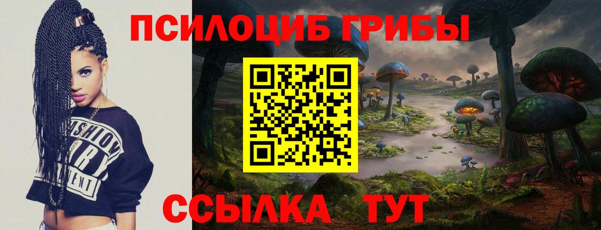Зеленокумск  Псилоцибиновые грибы Magic Shrooms  Вход с VPN 