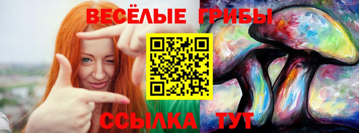 Галлюциногенные грибы Magic Shrooms Зеленокумск
